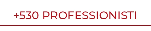 530 professionisti